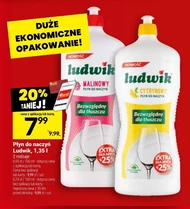 Płyn do naczyń Ludwik
