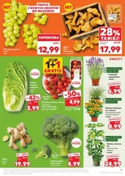 Smakuj polskie lato - Kaufland