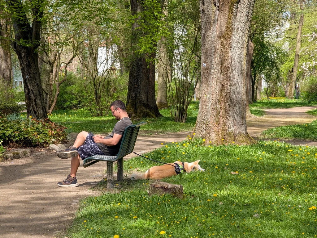 Mężczyzna siedzący na ławce w parku, czytający lub korzystający z urządzenia mobilnego, obok niego na trawie leży pies na smyczy. Wokół bujna zieleń, drzewa i wiosenna roślinność tworzą spokojną atmosferę odpoczynku.