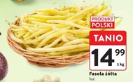 Fasolka żółta Polski