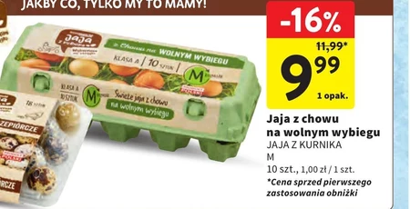 Jaja Jaja z kurnika