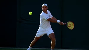 Głośno o tym, co Polak zrobił na Wimbledonie. Ten komentarz mówi wszystko
