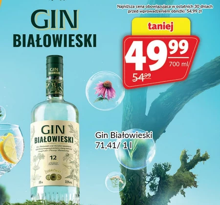 Gin