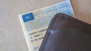 Nie mam dowodu rejestracyjnego. Czy policjant wystawi mi mandat?