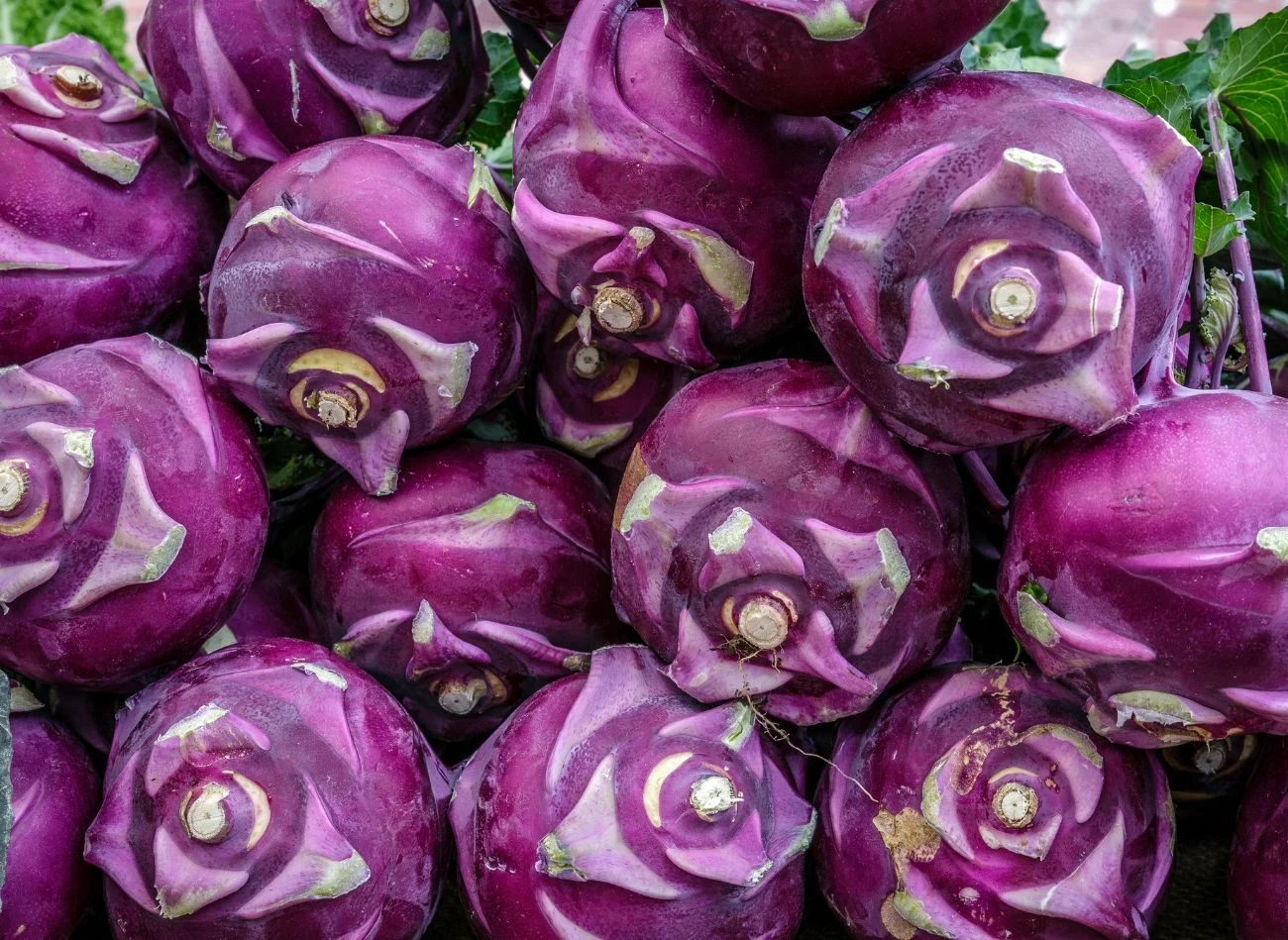 Fioletowa kalarepa to połączenie atrakcyjnego wyglądu, smaku i składu Fioletowa kalarepa to połączenie atrakcyjnego wyglądu, smaku i składu