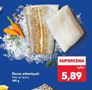 Dorsz