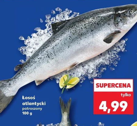 Łosoś