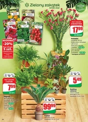 Gazetka promocyjna sieci Dino