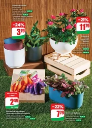 Gazetka promocyjna sieci Dino