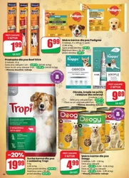 Gazetka promocyjna sieci Dino