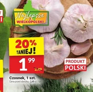 Часник Wielkopolski