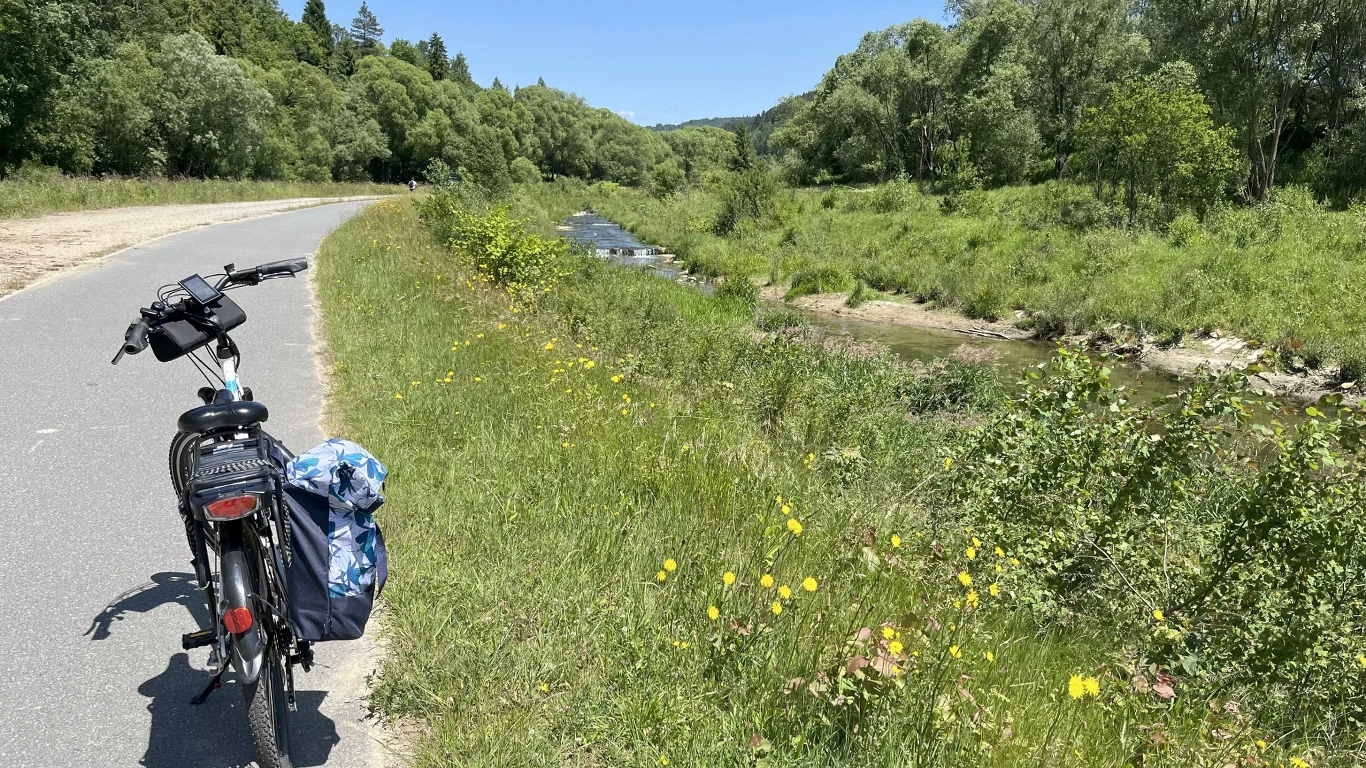 Rower zaparkowany na asfaltowej ścieżce rowerowej biegnącej wzdłuż zielonej łąki z żółtymi kwiatami, po prawej stronie płynie niewielka rzeka otoczona drzewami, na horyzoncie widoczne są wzgórza i las pod błękitnym niebem.