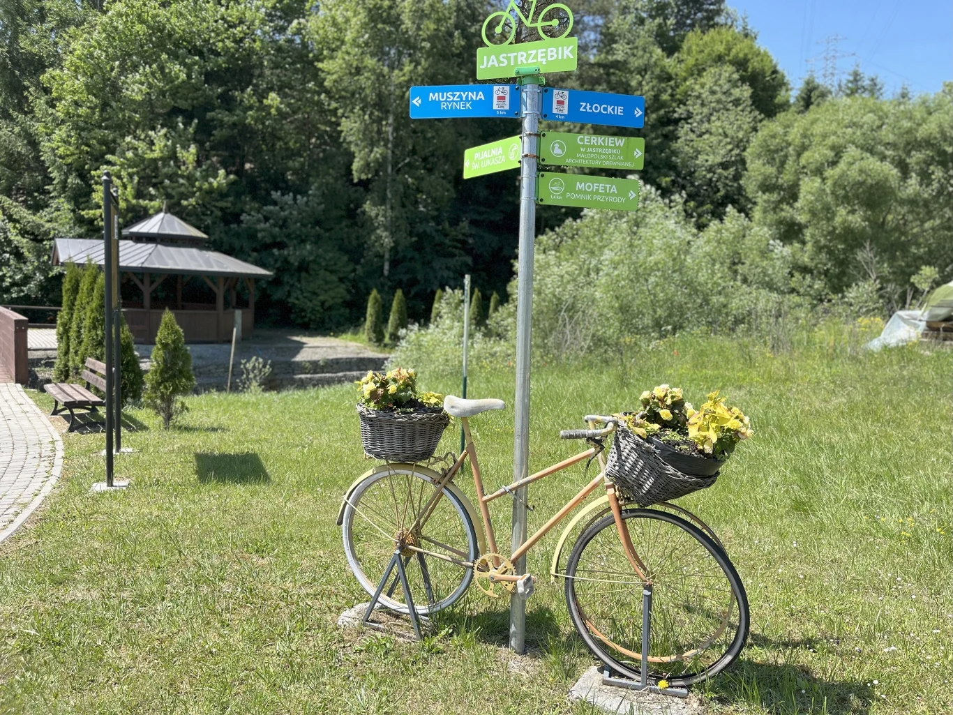 Stary rower pomalowany na żółto z dwiema wiklinowymi koszami wypełnionymi żółtymi kwiatami, ustawiony przy słupie z niebieskimi i zielonymi drogowskazami rowerowymi na tle zieleni i altanki ogrodowej