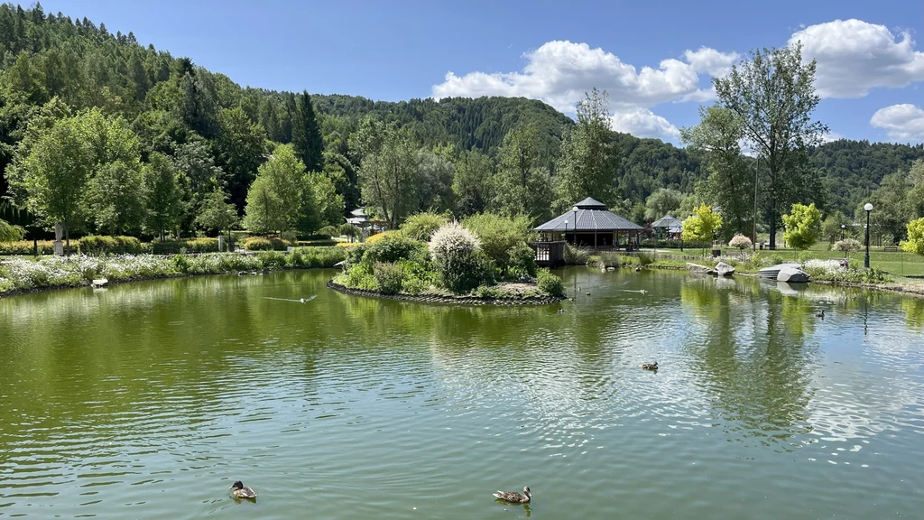 Park Zdrojowy "Zapopradzie" to prawdziwa perła Muszyny i najlepsze miejsce do długich spacerów Staw otoczony zielenią z pływającymi kaczkami, na środku wyspa z krzewami oraz altaną, w tle wzgórza i lasy pod błękitnym niebem z białymi chmurami.
