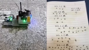 Zbudował w domu system obrony przed komarami. Pokazał nagranie