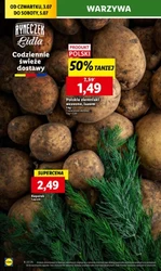 Zakupy robię w Lidlu