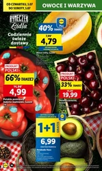Zakupy robię w Lidlu