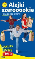 Zakupy robię w Lidlu