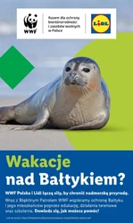 Zakupy robię w Lidlu