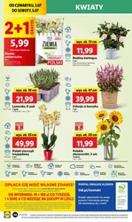 Я купую в Lidl