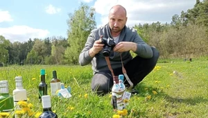 "Test lodówki" to szkodliwy mit. Taka oliwa może rujnować zdrowie