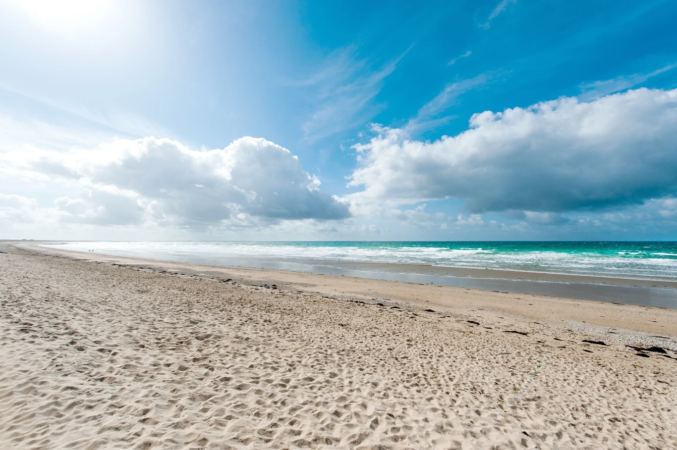 Dzika plaża w Pleśnej to mało znana perła Bałtyku 