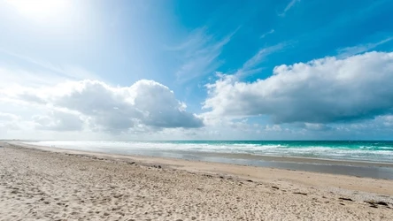 Dzika plaża w Pleśnej to mało znana perła Bałtyku 