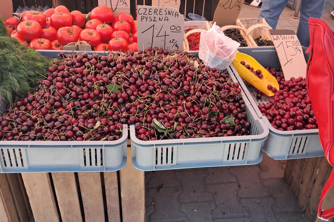 Czereśnie na jednym z warszawskich bazarów kosztowały od 10 do 22 zł/kg. Czereśnie na jednym z warszawskich bazarów kosztowały od 10 do 22 zł/kg.