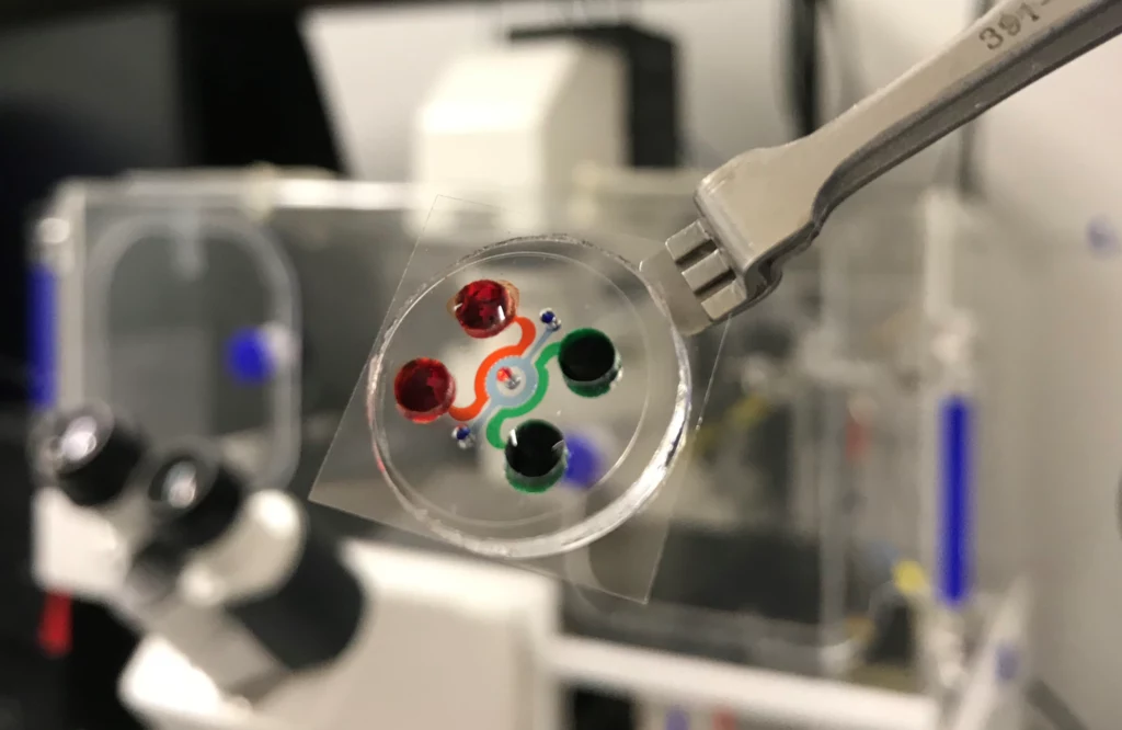 Leukemia-on-a-chip: Przełom w testach immunoterapii raka krwi