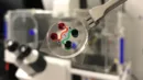 Leukemia-on-a-chip: Przełom w testach immunoterapii raka krwi