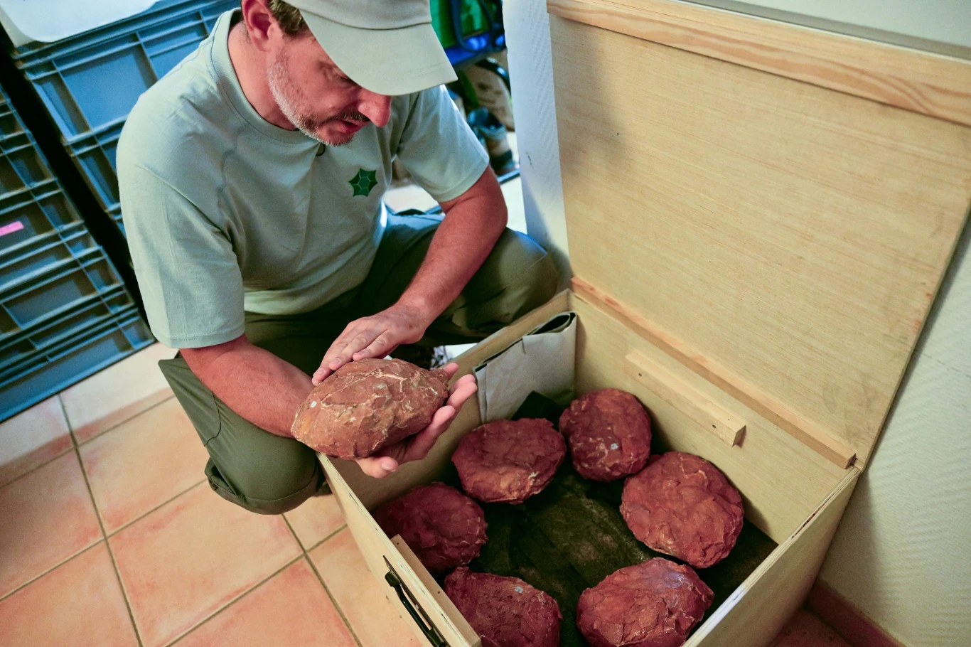 Francja. Odnaleziono jaja dinozaurów s