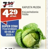 Kapusta młoda