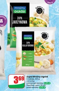 Zupa Mroźny ogród