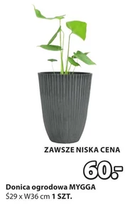 Donica