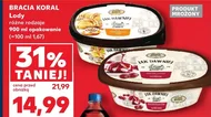 Lody Bracia Koral