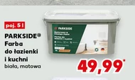 Farba Parkside