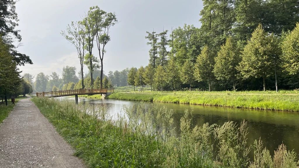 Spokojna ścieżka biegnąca wzdłuż rzeki, po lewej stronie widoczna aleja spacerowa, a po prawej mostek drewniany przechodzący nad wodą, otoczony gęstym lasem i zielenią.