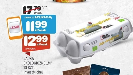 Jajka Invest Michel
