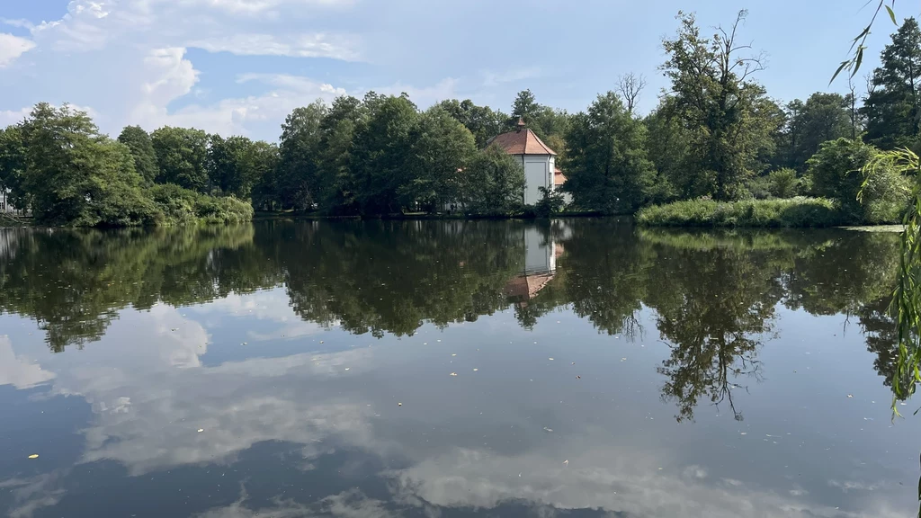 Jezioro otoczone bujnymi drzewami, ze spokojną taflą wody odbijającą niebo i korony drzew, w tle widoczne jasne budynki ukryte częściowo za liśćmi.