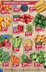Smakuj lato codziennie! - Stokrotka Optima