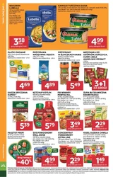 Czwartek pełen hitów – Stokrotka Market