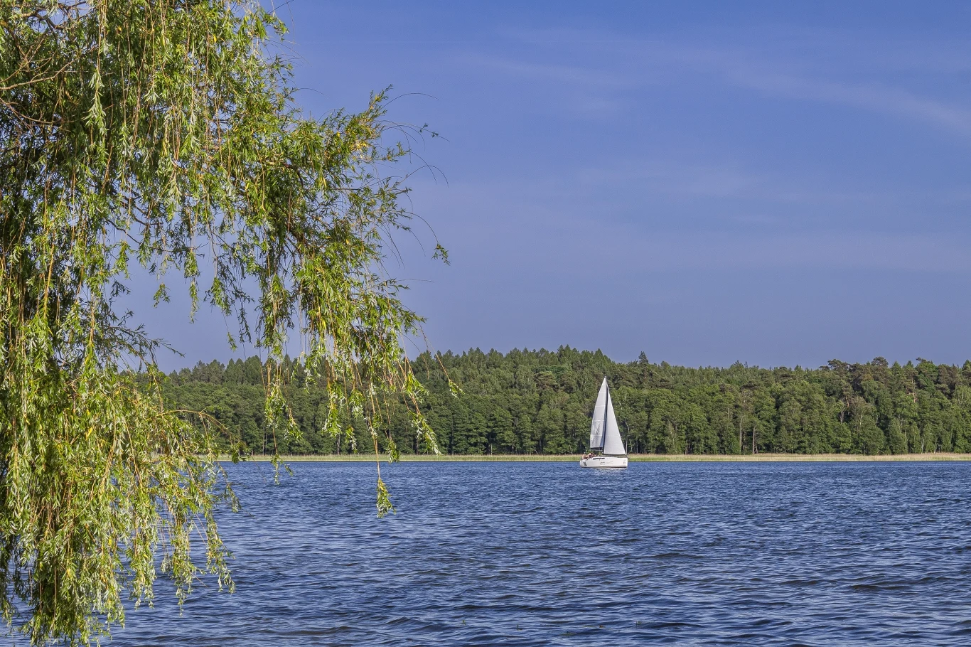 To właśnie na Mazurach można zjeść najlepsze słodkowodne ryby. Idealny posiłek po zwiedzaniu zabytków woj. warmińsko-mazurskiego. To właśnie na Mazurach można zjeść najlepsze słodkowodne ryby, które są źródłem wielu cennych składników odżywczych