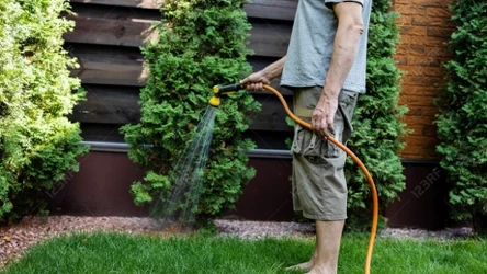 Gdy termometr wskazuje powyżej 30°C, podlewanie trawnika w środku dnia może przynieść więcej szkód niż korzyści. 