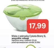 Чаша branq