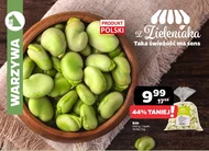 Квасоля широка MA