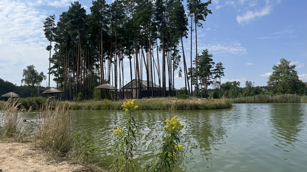 Staw otoczony wysokimi sosnami, na środku niewielka wyspa z altanami i drewnianym budynkiem, z przodu żółte kwiaty i naturalna roślinność przybrzeżna, niebo z niewielką ilością chmur.
