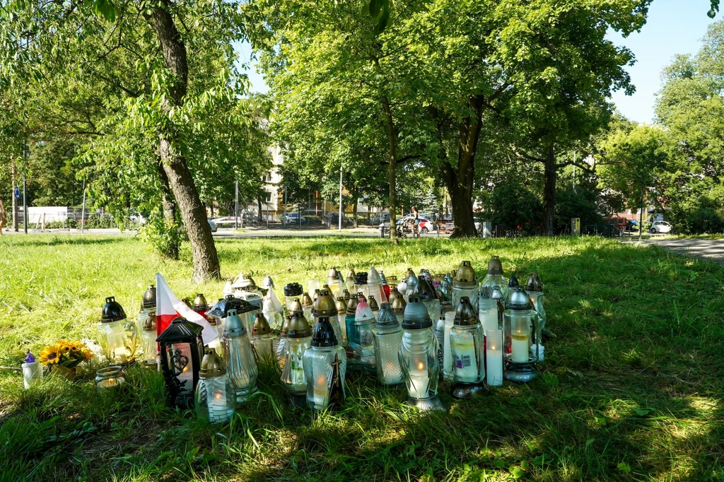 Klaudia K. zaatakowana w parku w Toruniu zmarła w wyniku obrażeń mózgu Klaudia K. zaatakowana w parku w Toruniu zmarła w wyniku obrażeń mózgu