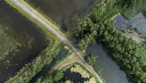 Prawie 300 stawów obok siebie. Wyjątkowe miejsce w Polsce