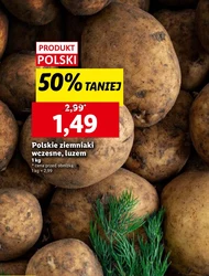 Картопля Polski