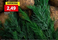 Koperek